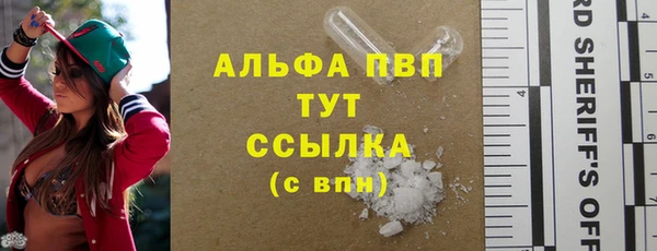 дмт Богородицк