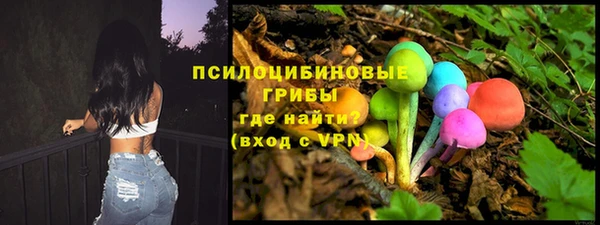 дмт Богородицк