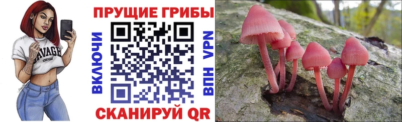 Галлюциногенные грибы MAGIC MUSHROOMS  Купить  Сальск 