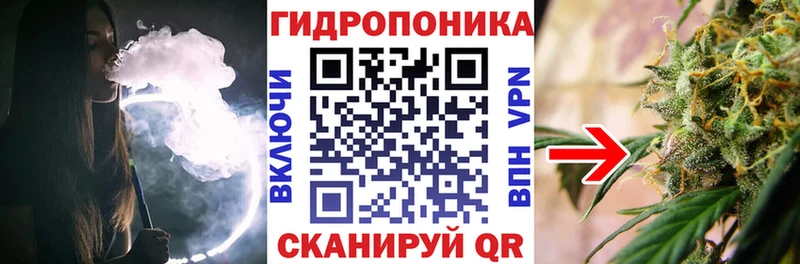 Купить закладки  Сальск  Марихуана индика 